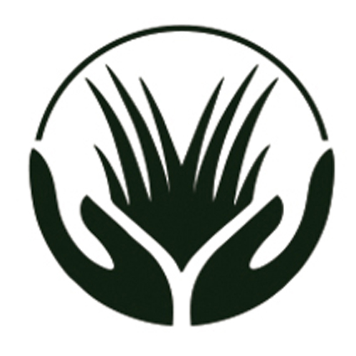 Garden Design Sussex | Arcadian Landscapes Ltd